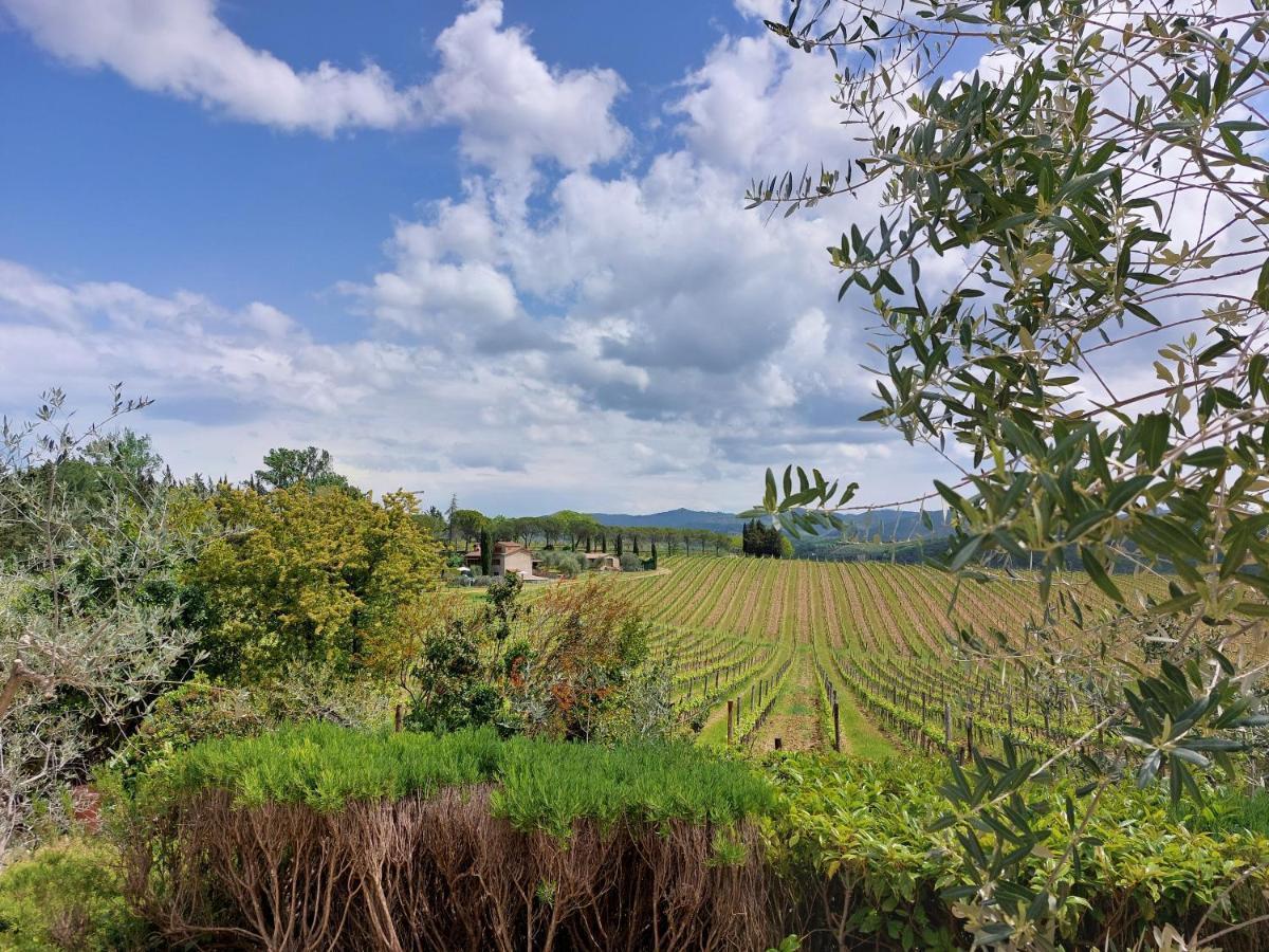 Agriturismo San Sano Gaiole in Chianti Luaran gambar