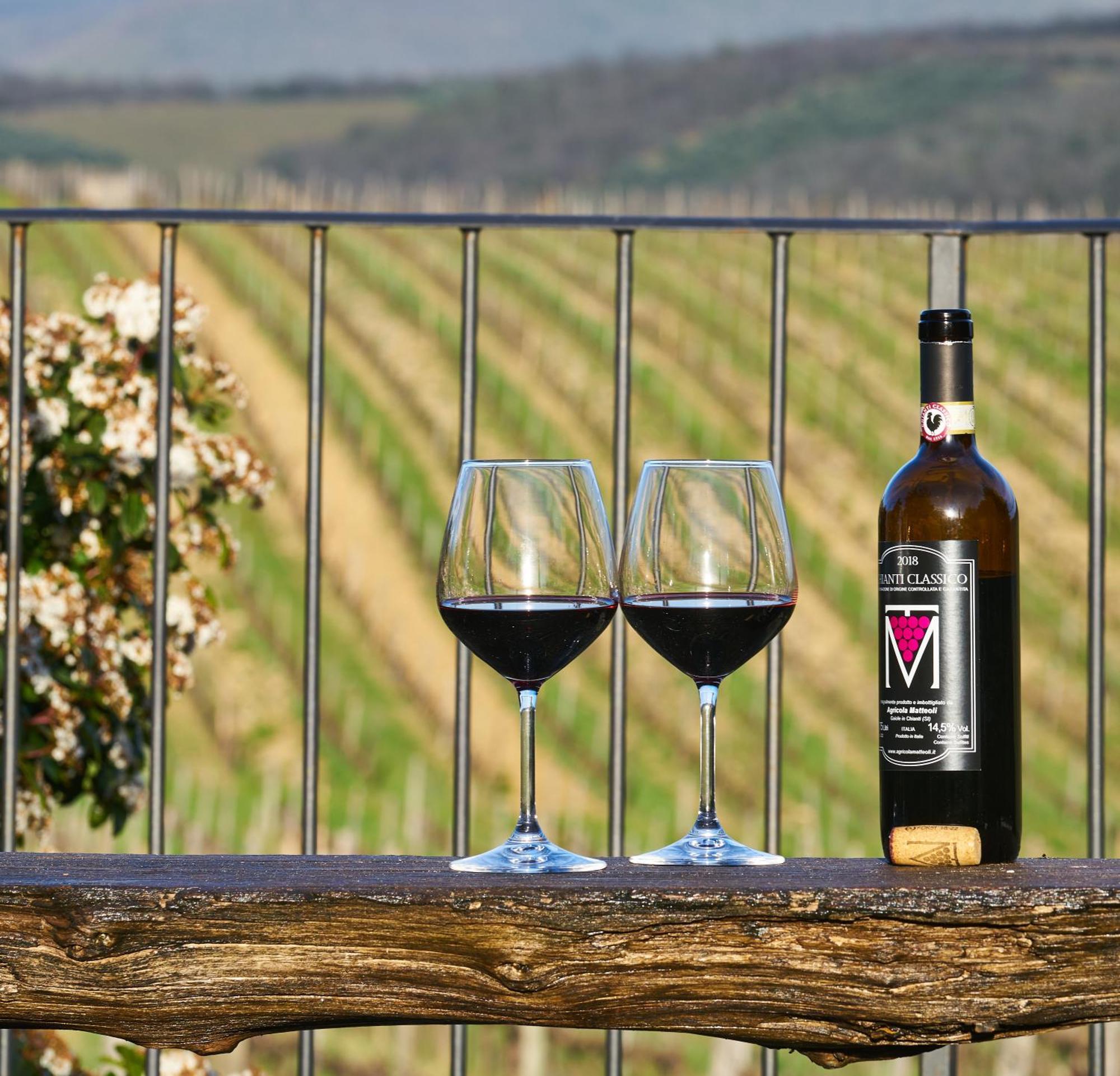 Agriturismo San Sano Gaiole in Chianti Luaran gambar