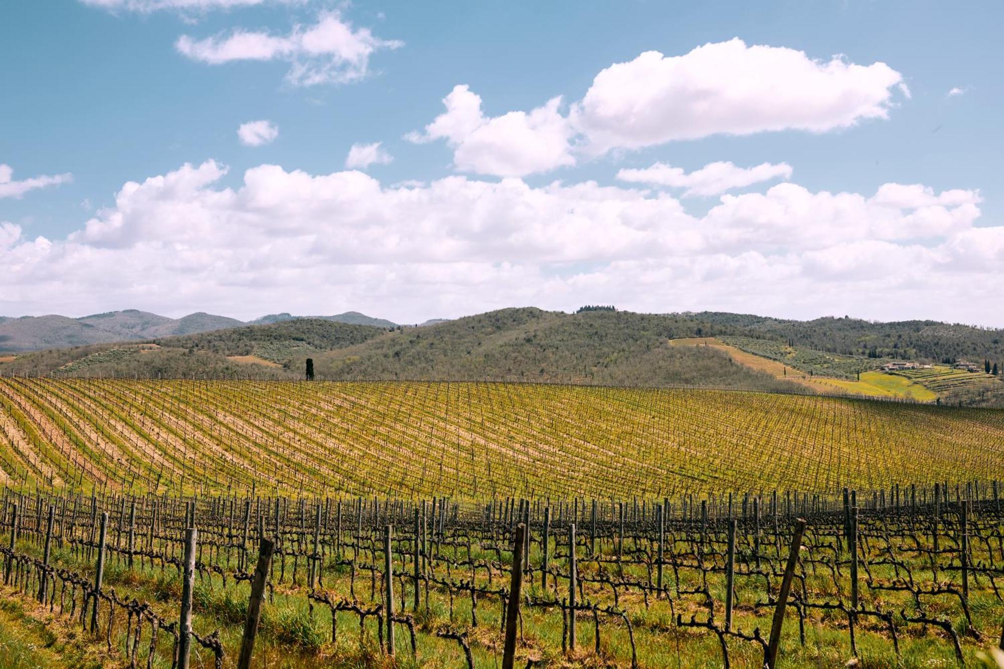 Agriturismo San Sano Gaiole in Chianti Luaran gambar