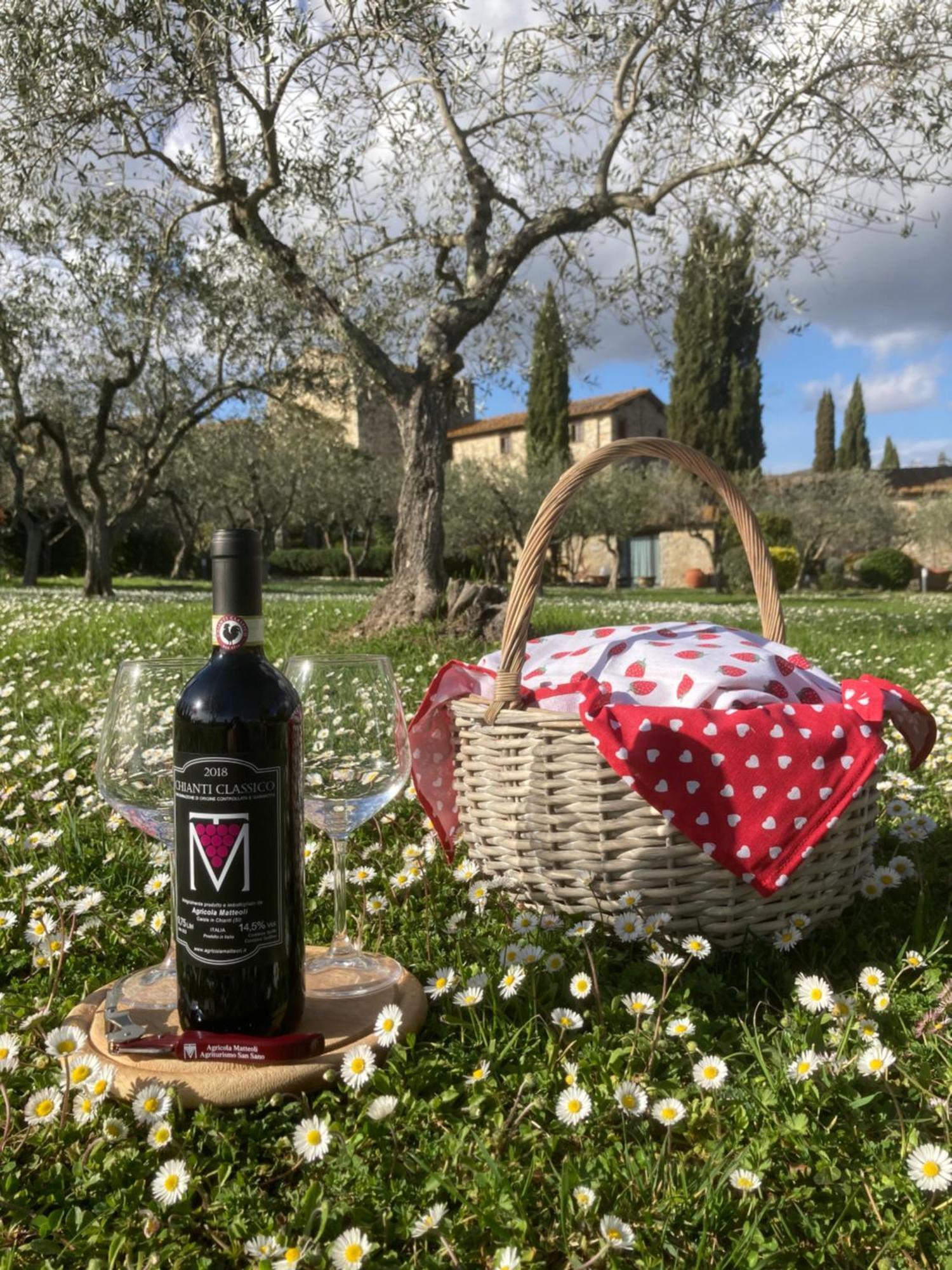 Agriturismo San Sano Gaiole in Chianti Luaran gambar